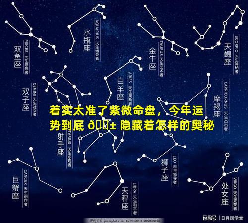 着实太准了紫微命盘，今年运势到底 🐱 隐藏着怎样的奥秘